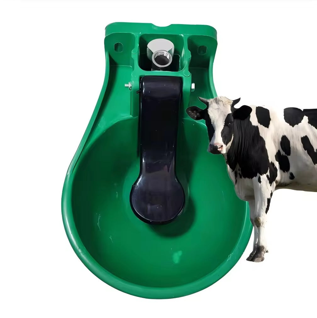 ELEVAGE DE VACHE